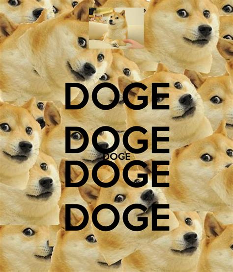 Aed united arab emirates dirham. Doge Meme Wallpaper - WallpaperSafari