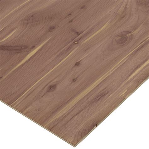 14 In X 4 Ft X 8 Ft Bc Sanded Pine Plywood 166014 The Home Depot