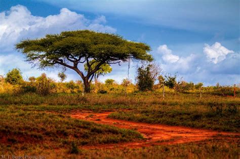 African Landscape With Images Landscape Landscape Photography