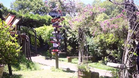 Clima y temperatura hoy en. Morangos hidropônicos em Caxias do sul - YouTube