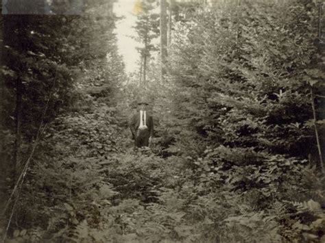 Man Standing Among Trees Photograph Wisconsin Historical Society