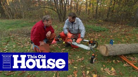 How To Cut And Remove A Tree Stump With A Chainsaw Best Home Gear