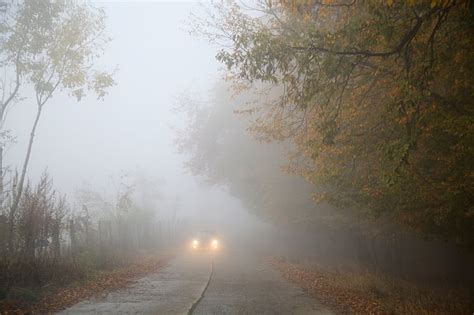 Royalty Free Photo Car On Road Covered With Fogs Pickpik