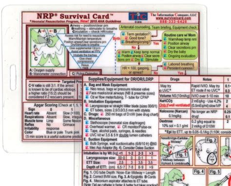 Nrp Neonatal Resuscitation Program Certification Quick Reference Study
