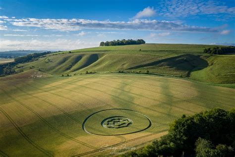 Crop Circle At Easton Clump Nr Easton Royal Wiltshire Reported 10th