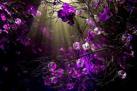 Here you can find the best purple background wallpapers uploaded by our community. Purple Wallpapers For Desktop - Wallpaper Cave