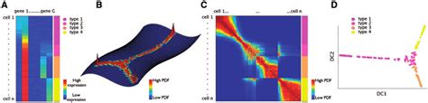Laleh haghverdi authored at least 4 papers between 2014 and 2016. Schematic overview of diffusion maps embedding. (A) The n ...