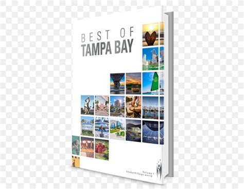 Tampa Bay Brand Png 960x750px Tampa Bay Advertising Americas Bay