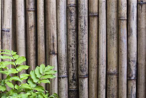 Bamboo Backgrounds Image Wallpaper Cave