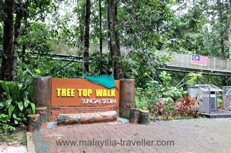 Tree top walk is located within the sungai sedim recreation park, about 30 minutes drive from the town of kulim in kedah. Tree Top Walk Sungai Sedim, Kulim, Kedah