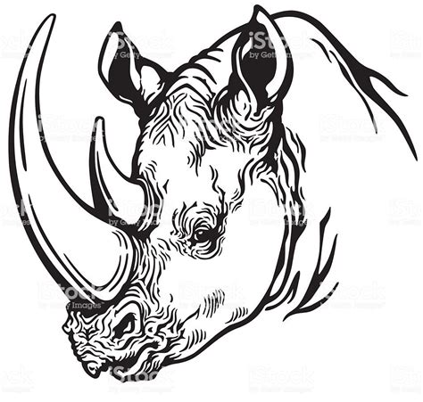 Head Of Rhino Royalty Free 2015 Stock Vector Rhino Art Illustration