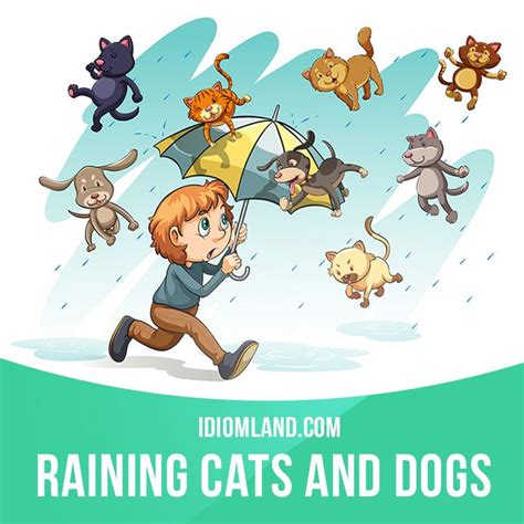 Its Raining Cats And Dogs Means Its Raining Very Heavily Example