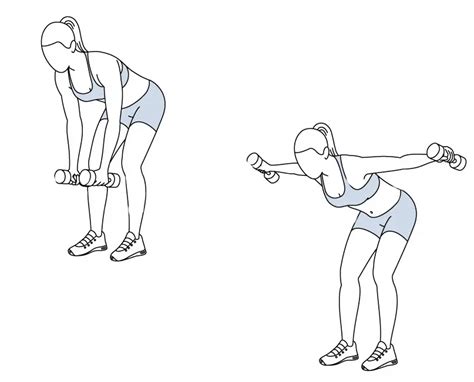 Bent Over Lateral Raise Exercise Illustration Yourgymgides Health