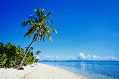 Wallpaper Philippines Beaches Sea Nature Palms Tropics Coast