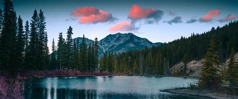 Download Wallpaper 2560x1080 Lake Mountains Forest Landscape Nature