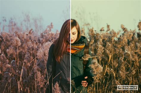 Some additional adjustments may need to be made. RetroTone Vintage Lightroom Presets for Photographers ...