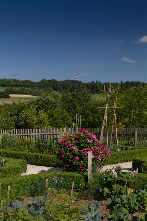 Botanical garden of tu braunschweig is situated 250 metres north of botanischer garten erweiterungsteil. Botanischer Garten, Universität Ulm - Hochformat ...