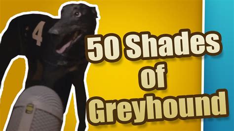 50 Shades Of Greyhound Greyhounds The Dogumentary Episode 9 Youtube