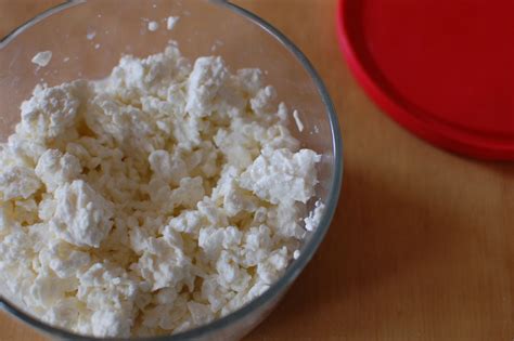 How To Make Cottage Cheese Cottage Cheese Recipes Homemade Cottage