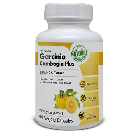 vitapost garcinia cambogia plus with 95 hydroxycitric acid hca supplement 60 caps walmart