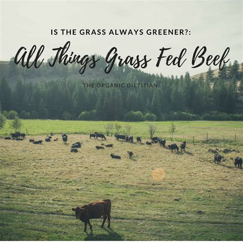 It was released on august 11, 2015, during the monorail 2015 event. Is the Grass Always Greener?: All Things Grass Fed Beef - The Organic Dietitian