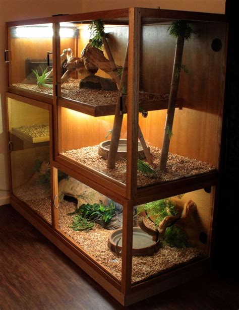 A bearded dragon terrarium needs to be big enough to provide enough space for exercise, as well as to facilitate a proper temperature gradient. BEARDED DRAGON HABITAT 40 #beardeddragoncage | Bearded dragon habitat, Bearded dragon cage ...
