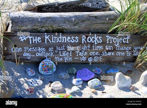 The Kindness Rocks Project At Sandy Neck Beach In Sandwich