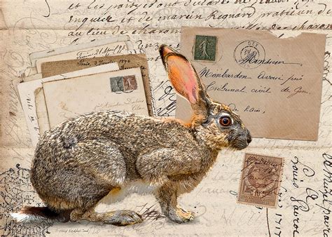 The Mad Hare Digital Art By Terry Kirkland Cook Fine Art America