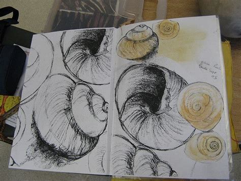 98 best shell drawings images on Pinterest | Shells, Shell ... To do so, draw a series of short, curved lines connecting in jagged points.