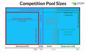 How Big Is An Olympic Swimming Pool