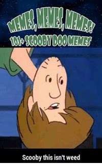 Scooby This Isn T Weed Weed Meme On ME ME