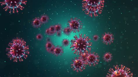 Stock Video Clip Of Animation Of Bacteria Virus Or Germs Microorganism