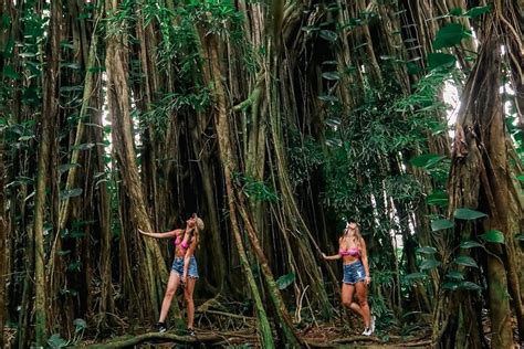 Tripadvisor Private Aktivität Zum Wasserfall Fotoshooting In Kailua