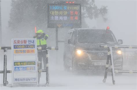 Siberian Cold Wave Sweeps S Korea