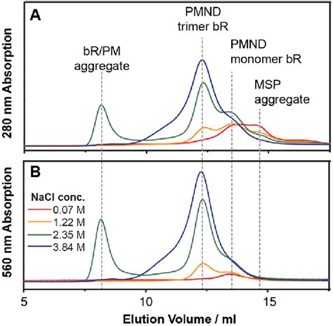 Size Exclusion Chromatography Profiles Of Pmnd Assembled With Different