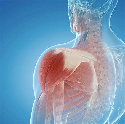 Frozen Shoulder Surgery Raleigh Raleigh Orthopaedic Surgery Center