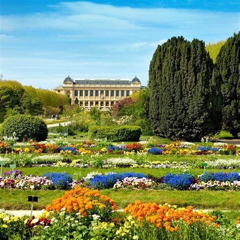 √ Jardin Des Plantes Twitter | Mon Blog Jardinage