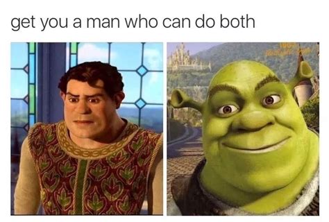 A Take On A Meme That Really Truly Gets It Shrek Memes Shrek Kid