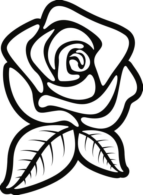 Are you searching for cactus clipart png images or vector? Clipart - Clipart Rose Black And White - Png Download ...
