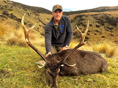 Sika Deer · New Zealand Safaris