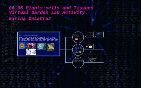 We did not find results for: 06.06 Plants cells and Tissues by karina delacruz on Prezi