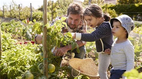 Im Garten Arbeiten Macht Glücklich Und Gesund Evidero