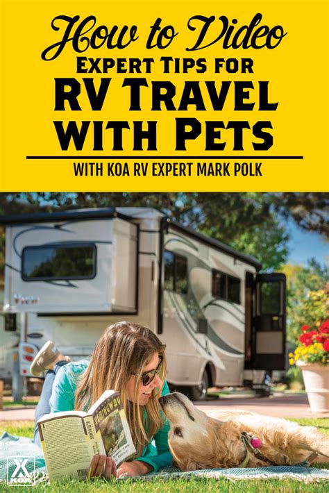 Expert Tips For Rv Travel With Pets Koa Camping Blog