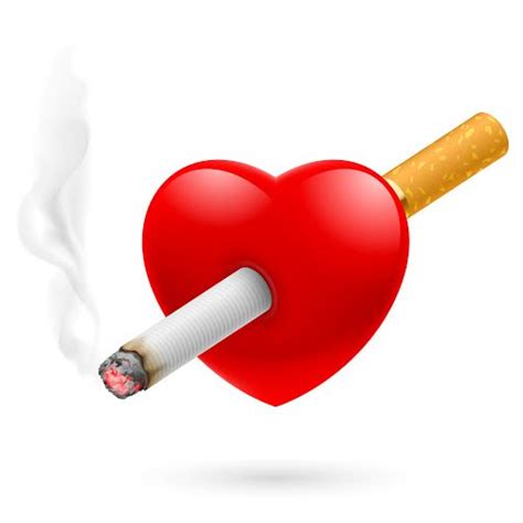 Según la oms, esto es todo lo que puedes ganar dejándolo empezando por los primeros 20 minutos⏱ te dejamos 1⃣6⃣ buenos. Día Mundial sin Tabaco - Marcela Fittipaldi Magazine