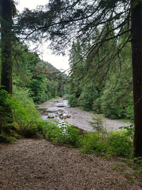 Weekend At Kilchis River County Campground In Tillamook County Oregon