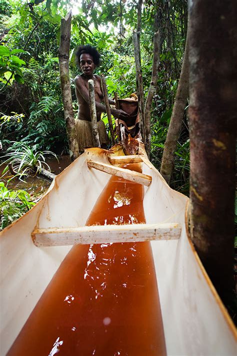 The Korowai People West Papua