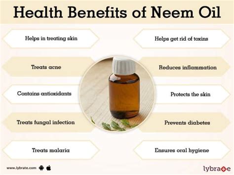 Neem Oil Benefits And Its Side Effects Lybrate