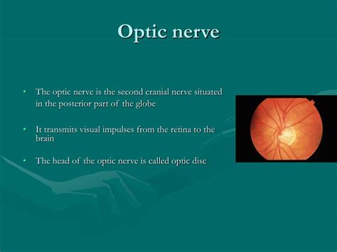 Ppt Optic Nerve And Visual Pathway Powerpoint Presentation Free