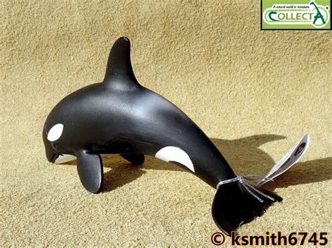 Collecta Orca Calf Solid Plastic Toy Wild Zoo Sea Marine Animal Killer