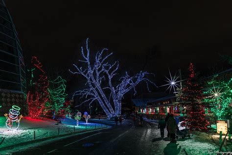 20201120 Calgary ZooLights  Christmas Decoration  a photo on Flickriver
